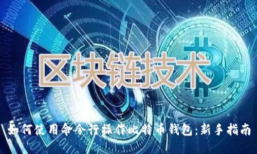 如何使用命令行操作比特币钱包：新手指南