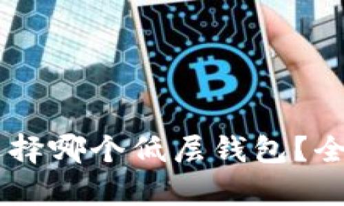 : USDT导出选择哪个低层钱包？全面解析与推荐