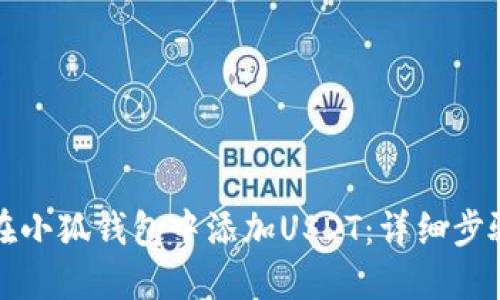 如何在小狐钱包中添加USDT:详细步骤指南