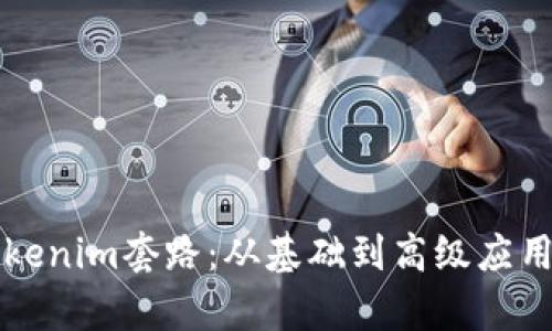 解密老版Tokenim套路：从基础到高级应用的全面解析