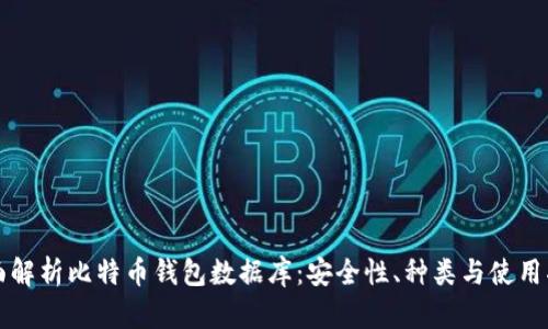 全面解析比特币钱包数据库:安全性、种类与使用指南