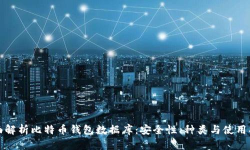 全面解析比特币钱包数据库:安全性、种类与使用指南