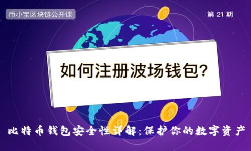 比特币钱包安全性详解:保护你的数字资产