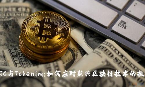ETC与Tokenim:如何应对新兴区块链技术的挑战
