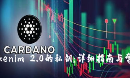 如何找回Tokenim 2.0的私钥:详细指南与常见问题解答
