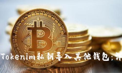 如何将Tokenim私钥导入其他钱包:详细指南