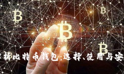 全面解析比特币钱包:选择、使用与安全指南