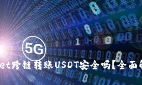 bianotitpWallet跨链转账USDT安全吗?全面解析与用户指南