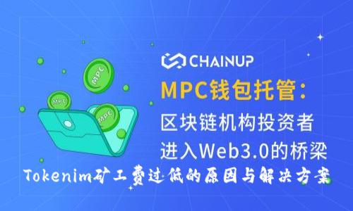Tokenim矿工费过低的原因与解决方案