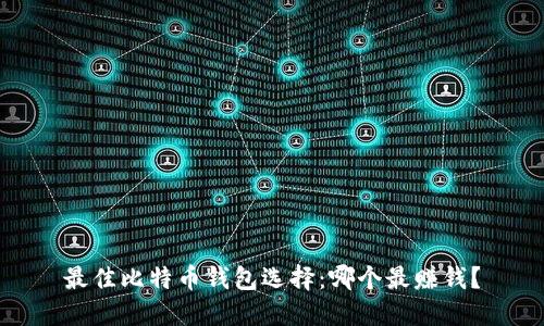 最佳比特币钱包选择：哪个最赚钱？