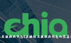 什么是波拉丝钱包？区块