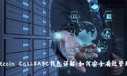 比特币现金(Bitcoin Cash)ABC钱包详解:如何安全有效管理您的数字资产
