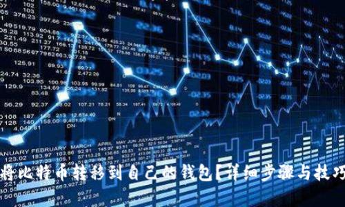 如何将比特币转移到自己的钱包？详细步骤与技巧解析