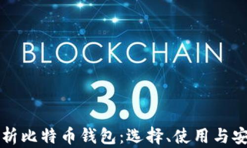 全面解析比特币钱包:选择、使用与安全指南