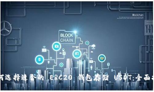 如何选择适合的 ERC20 钱包存储 USDT:全面指南