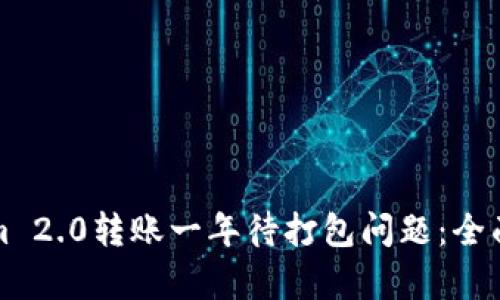 如何处理Tokenim 2.0转账一年待打包问题:全面解析与解决方案