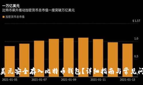 如何将美元安全存入比特币钱包?详细指南与常见问题解析