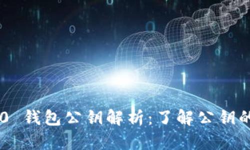 Tokenim 2.0 钱包公钥解析：了解公钥的意义与用途