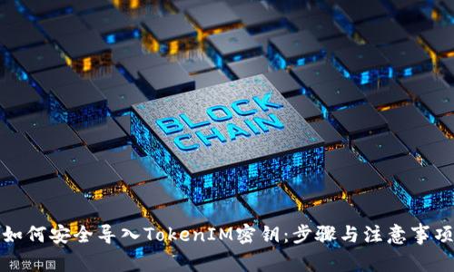 如何安全导入TokenIM密钥:步骤与注意事项