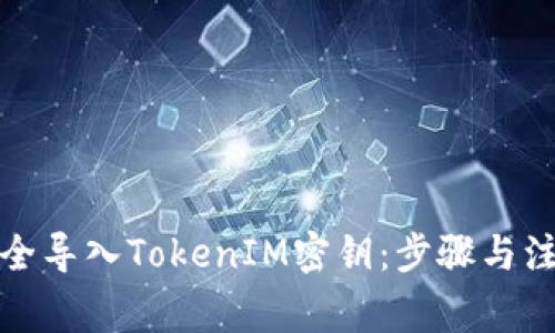 如何安全导入TokenIM密钥:步骤与注意事项