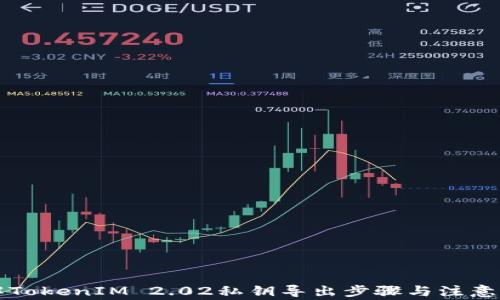 详解TokenIM 2.02私钥导出步骤与注意事项