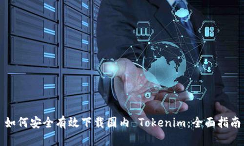 如何安全有效下载国内 Tokenim：全面指南
