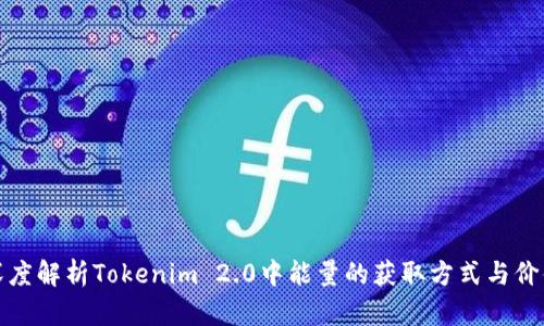 深度解析Tokenim 2.0中能量的获取方式与价值