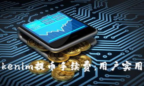 如何降低Tokenim提币手续费：用户实用指南与技巧