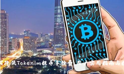 如何降低Tokenim提币手续费：用户实用指南与技巧
