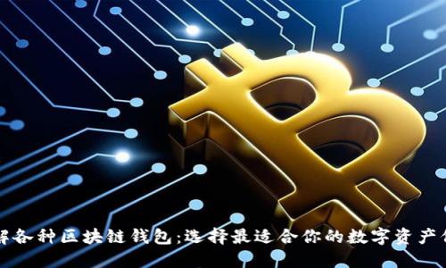 深入了解各种区块链钱包：选择最适合你的数字资产保护方式