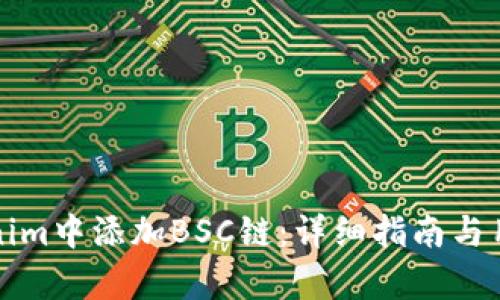 如何在Tokenim中添加BSC链：详细指南与用户价值分析