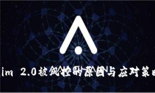 Tokenim 2.0被风控的原因与应对策略探讨