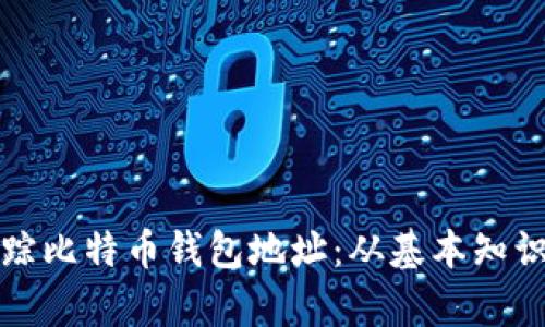 如何有效追踪比特币钱包地址：从基本知识到实用工具