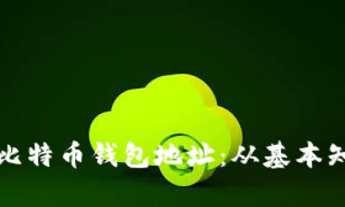 如何有效追踪比特币钱包地址：从基本知识到实用工具