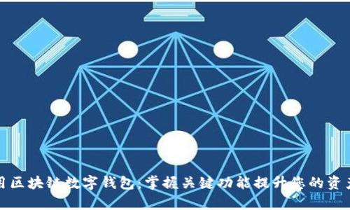 如何有效利用区块链数字钱包:掌握关键功能提升您的资产安全和管理