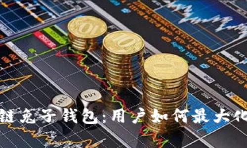 全面解析区块链兔子钱包：用户如何最大化安全性与收益