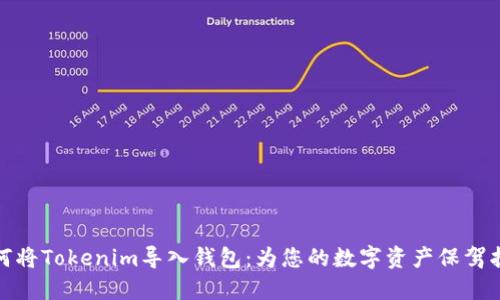 如何将Tokenim导入钱包:为您的数字资产保驾护航
