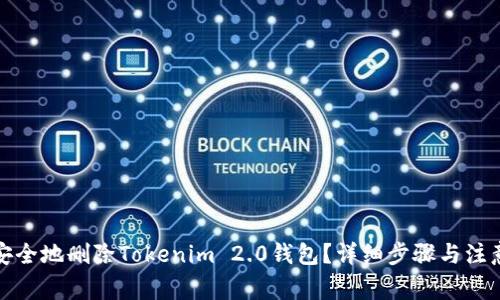 如何安全地删除Tokenim 2.0钱包?详细步骤与注意事项
