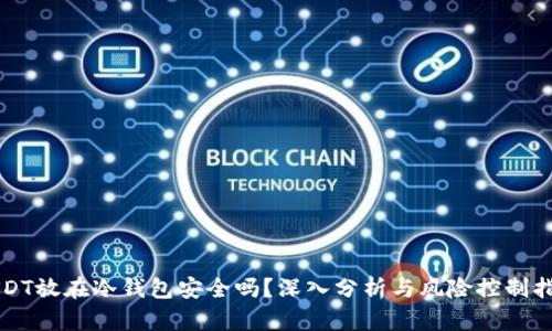 USDT放在冷钱包安全吗？深入分析与风险控制指南