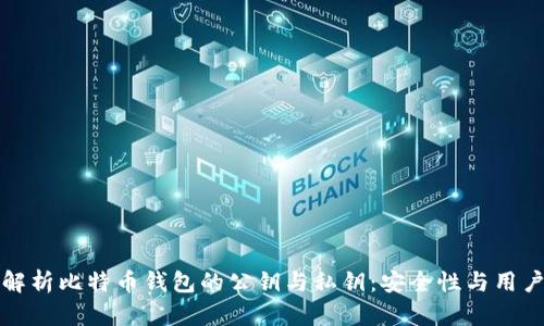 深入解析比特币钱包的公钥与私钥：安全性与用户价值