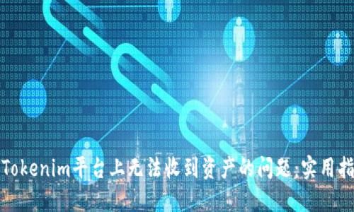 如何解决Tokenim平台上无法收到资产的问题：实用指南与技巧