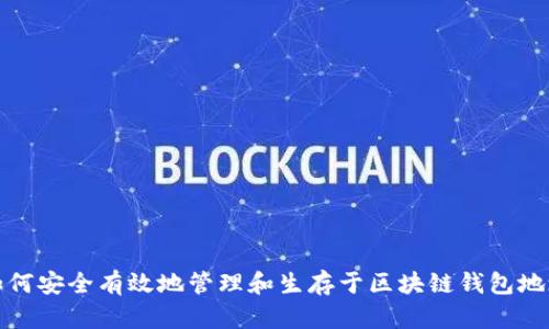 如何安全有效地管理和生存于区块链钱包地址