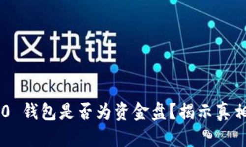 Tokenim 2.0 钱包是否为资金盘？揭示真相与投资风险
