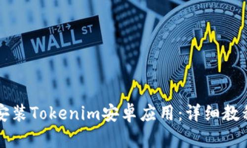 如何下载和安装Tokenim安卓应用：详细教程与使用指南