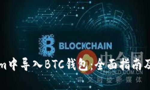 如何在Tokenim中导入BTC钱包：全面指南及用户收益分析