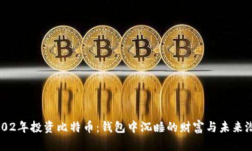 2002年投资比特币：钱包中沉睡的财富与未来潜力