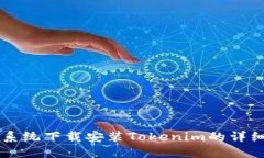 苹果系统下载安装Tokenim的