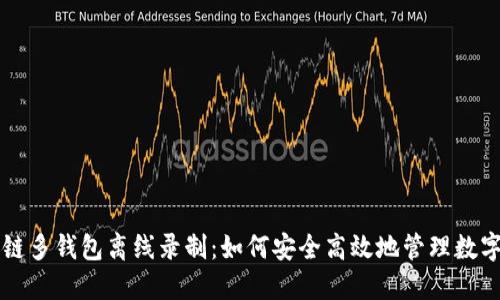 区块链多钱包离线录制：如何安全高效地管理数字资产