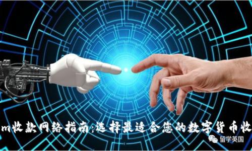 Tokenim收款网络指南:选择最适合您的数字货币收款方式