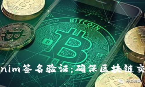 深入理解Tokenim签名验证：确保区块链交易安全的关键